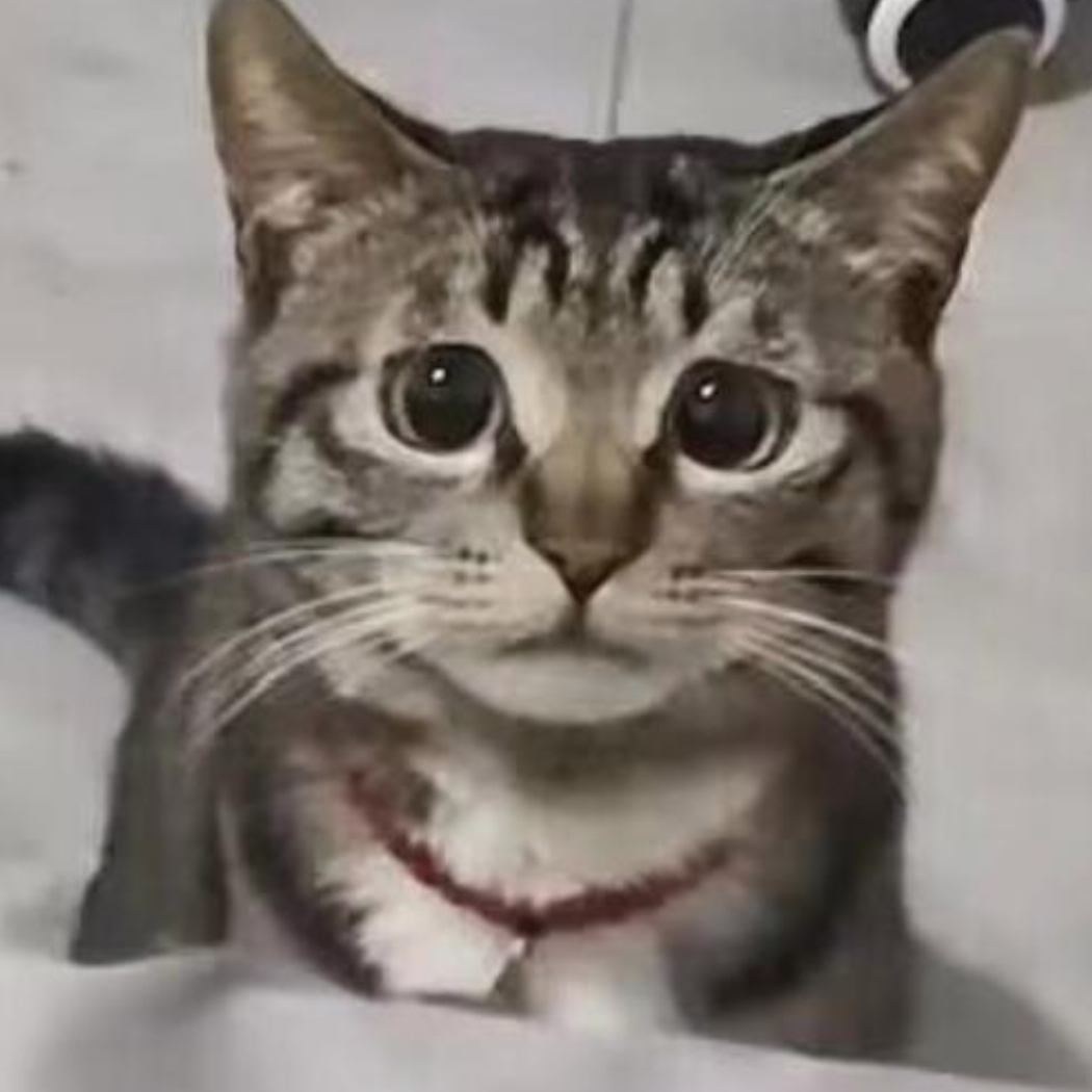 辣条