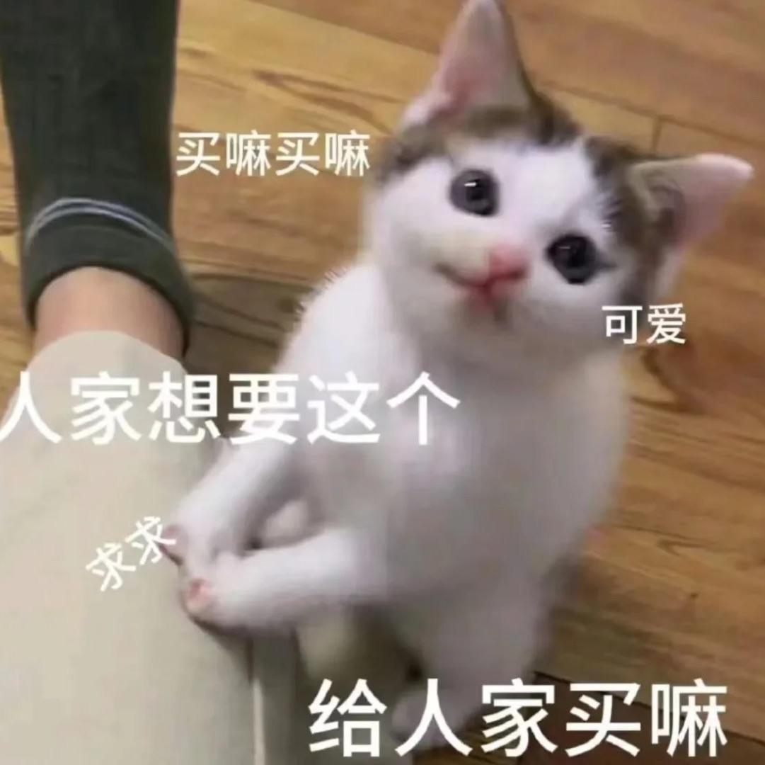 手游推荐官黑猫