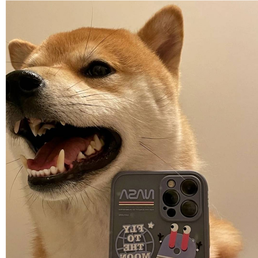 嘎啦蹦吧