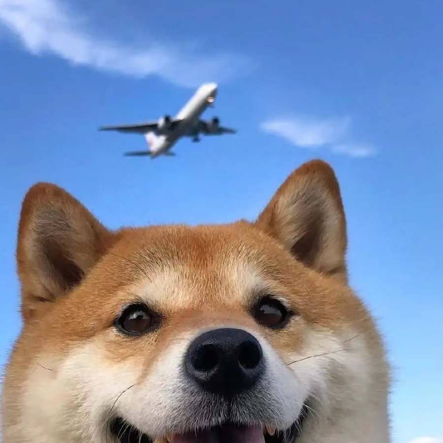 巧克力