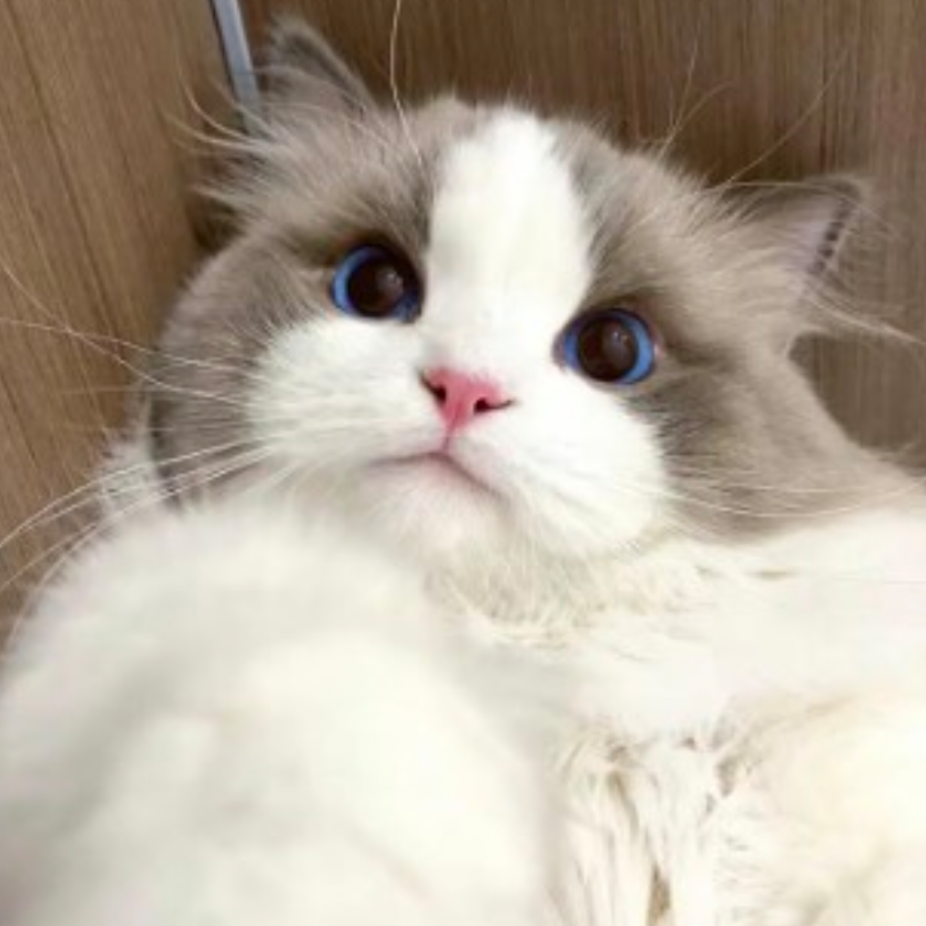 南总