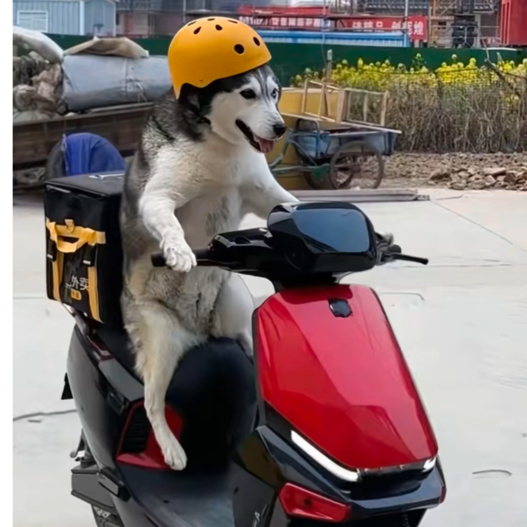 暴走躺床塘