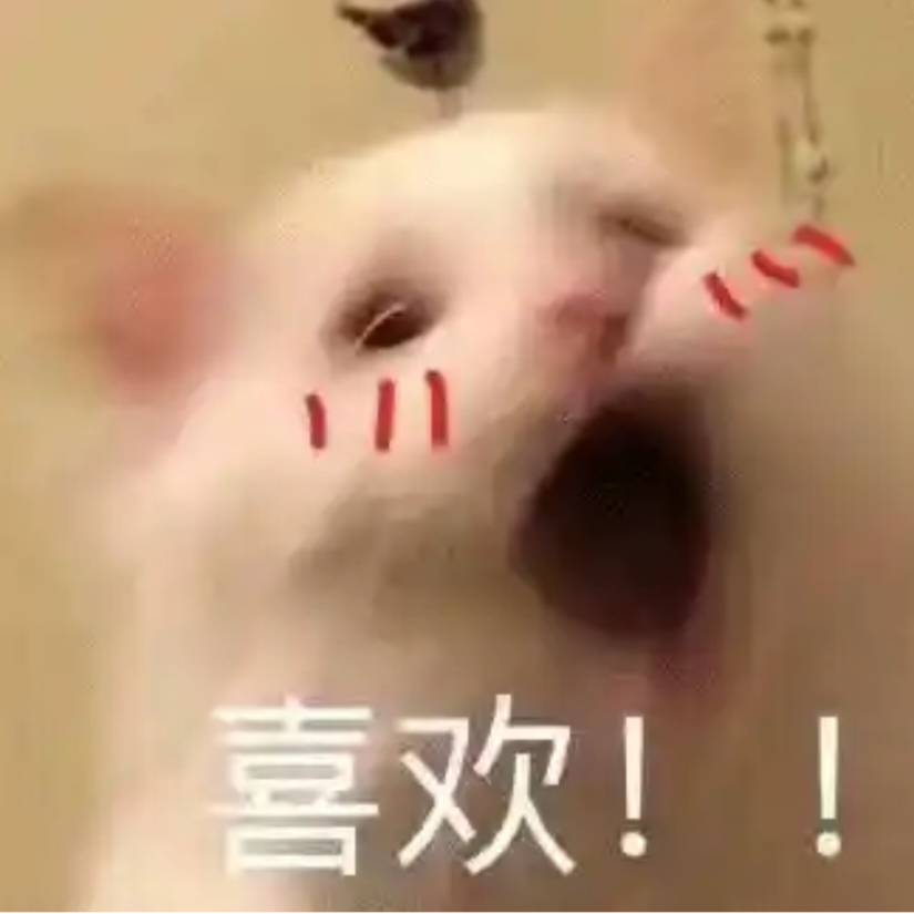 快乐肥宅