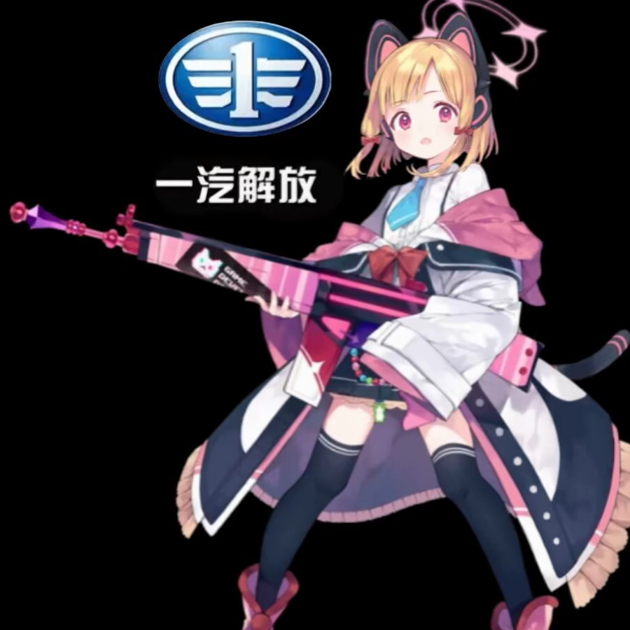 爱拍解放的王小兆