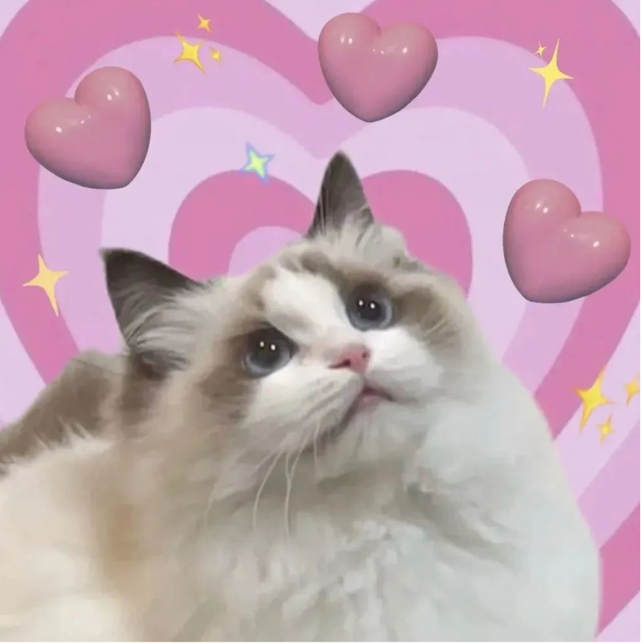 派大星和我一起去抓水母吧