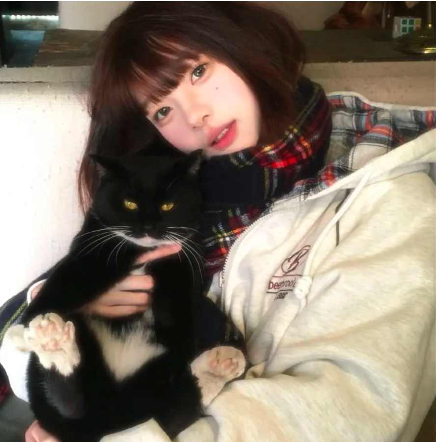 k猫