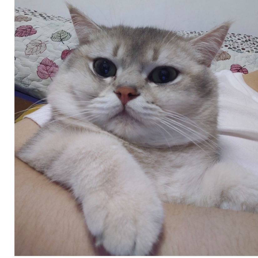 烧冻鸡翅