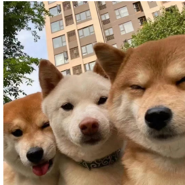 启示录