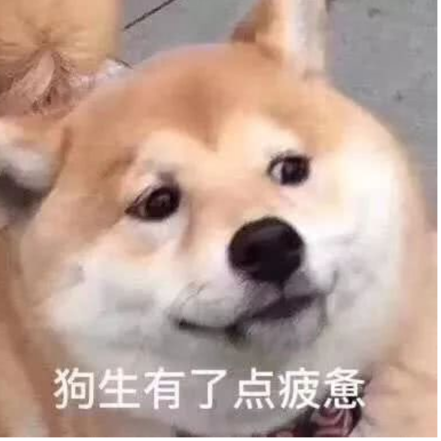 秋秋