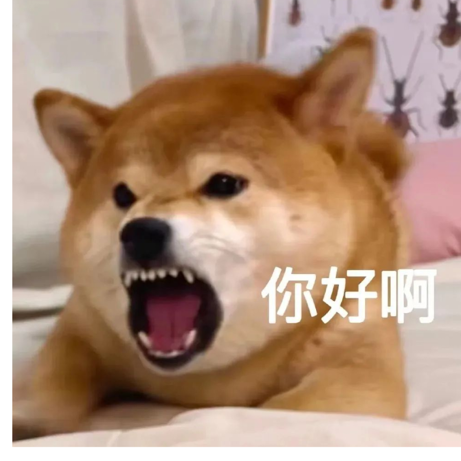 红烧榴莲