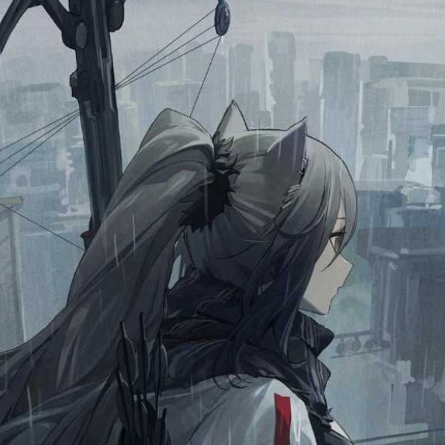 超威黑猫
