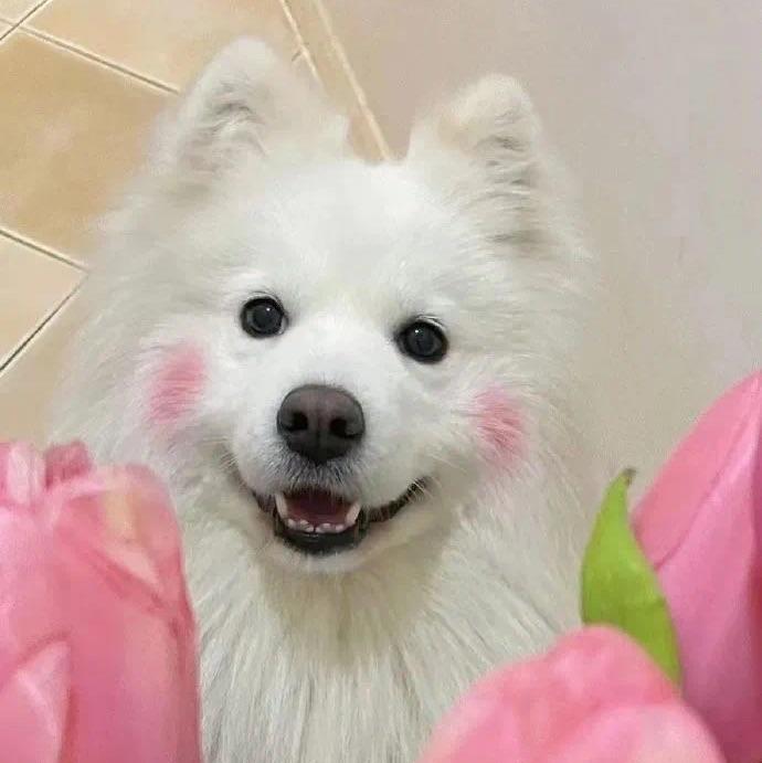 💓是心动呀～