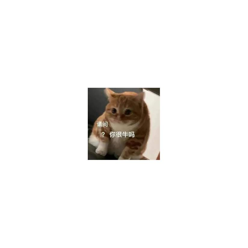 Turi
