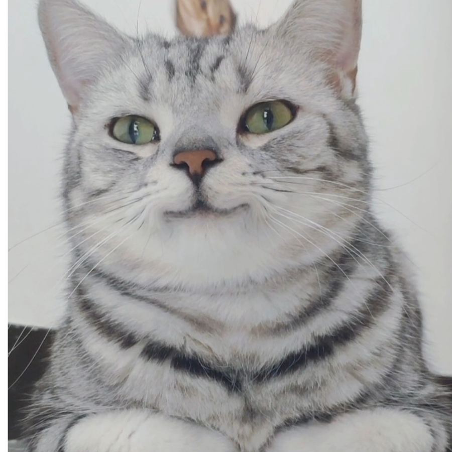 小偏執