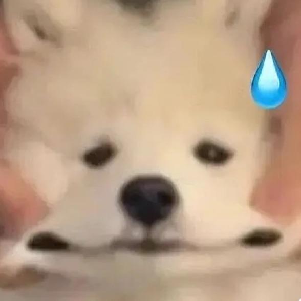 惊弓之鸟