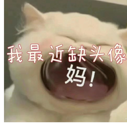 庆云一念