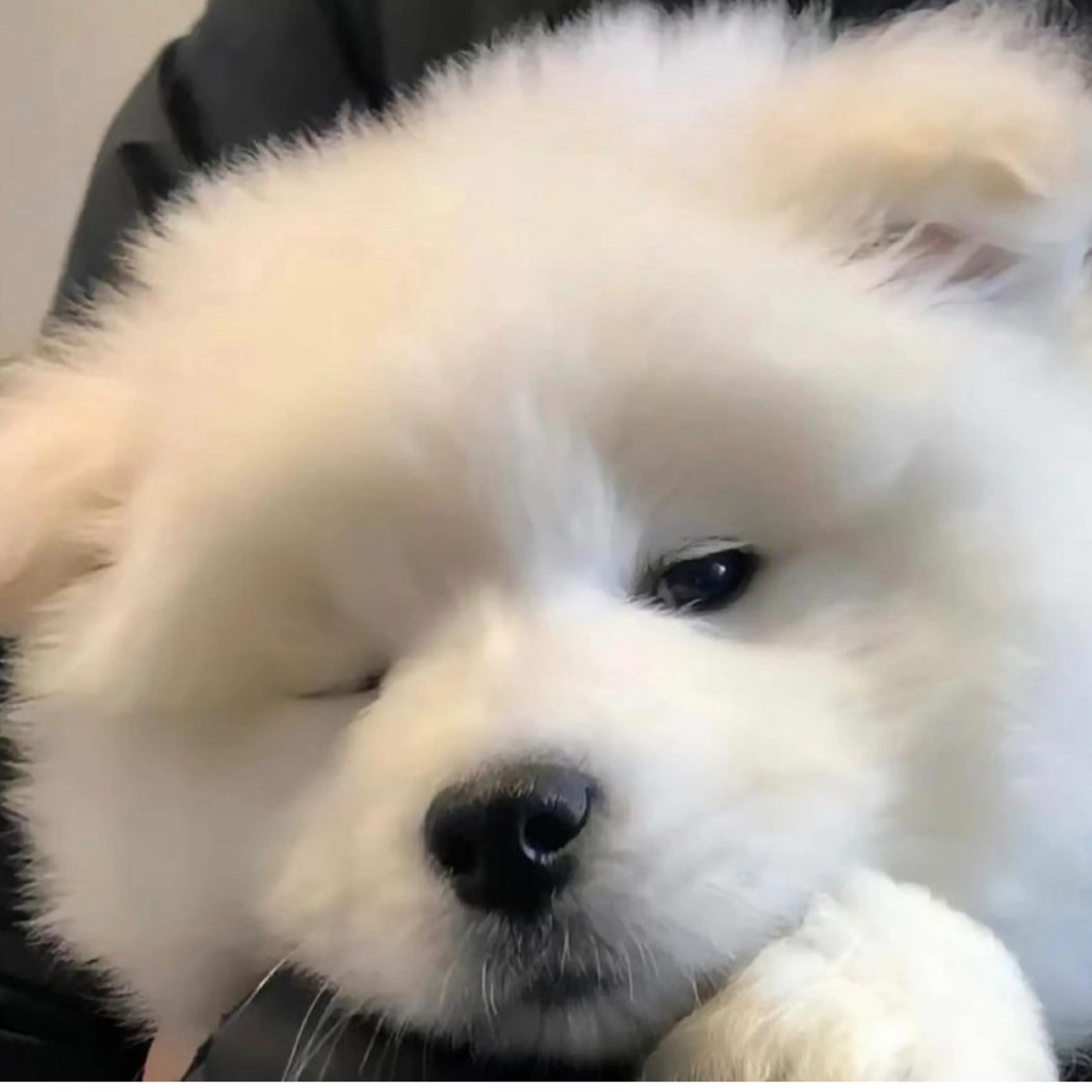 落兴尘