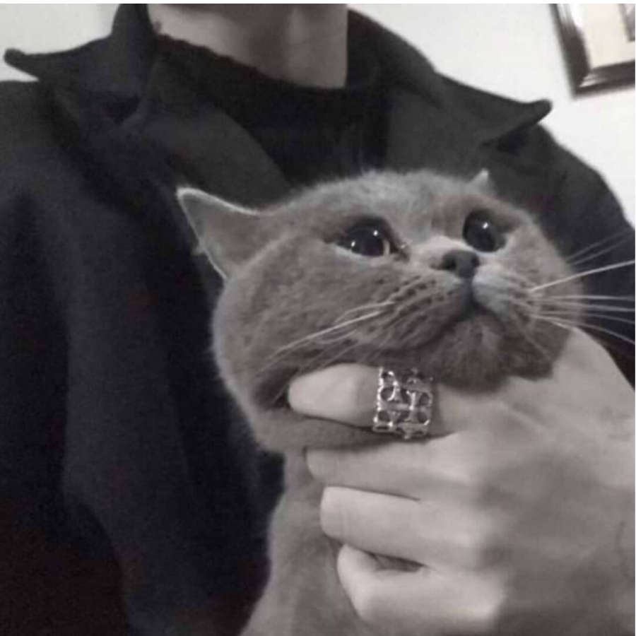 小狼
