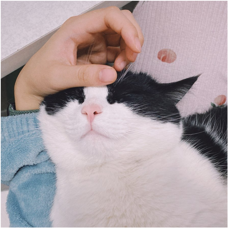 王..