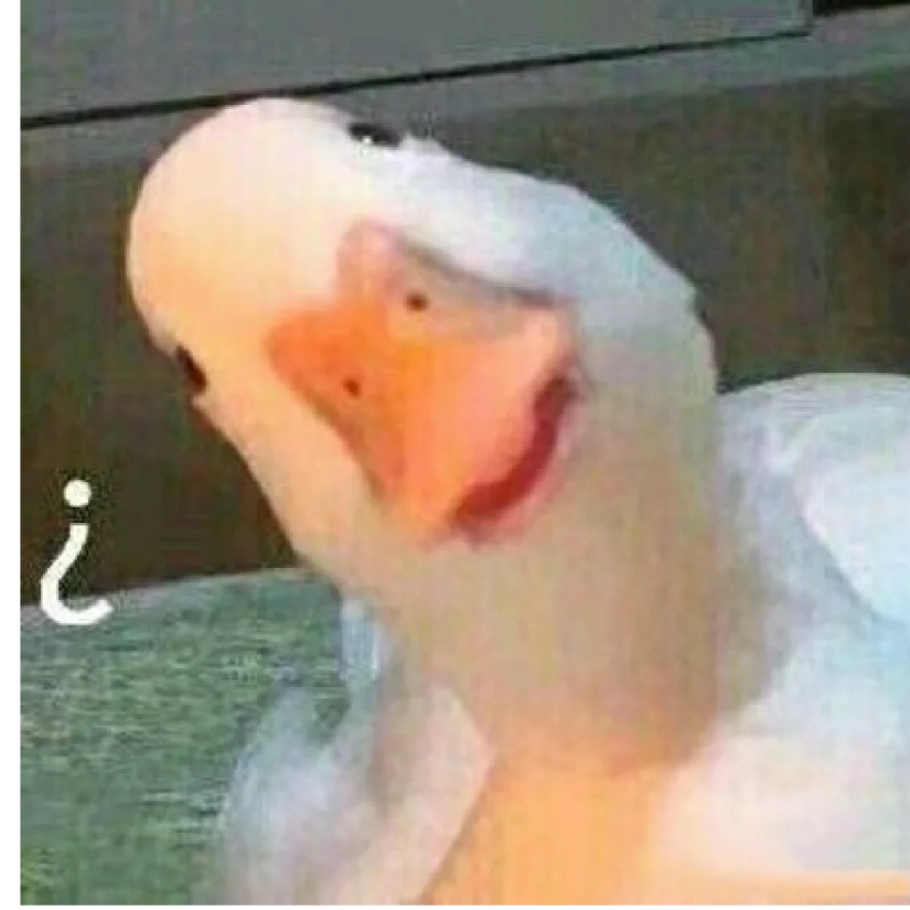 小羊啾啾
