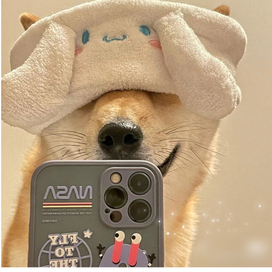 nuYoah