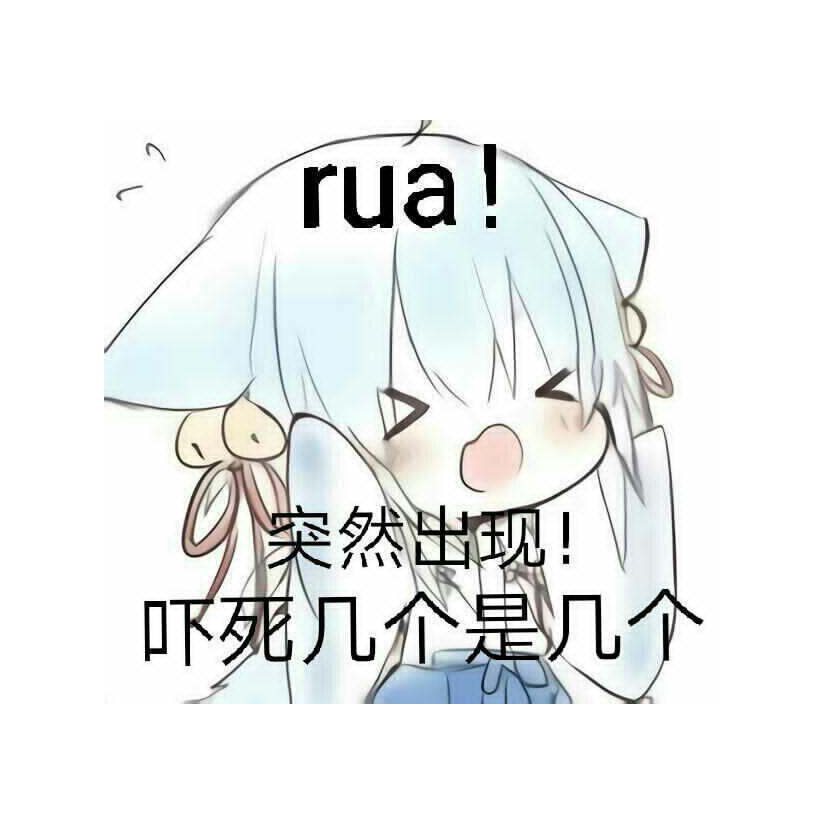 小白