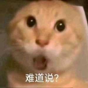 喵喵不想跳水