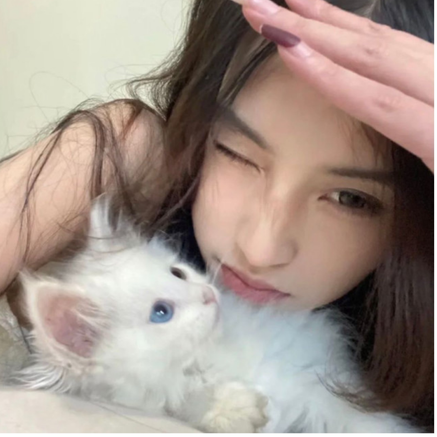 肥青无语