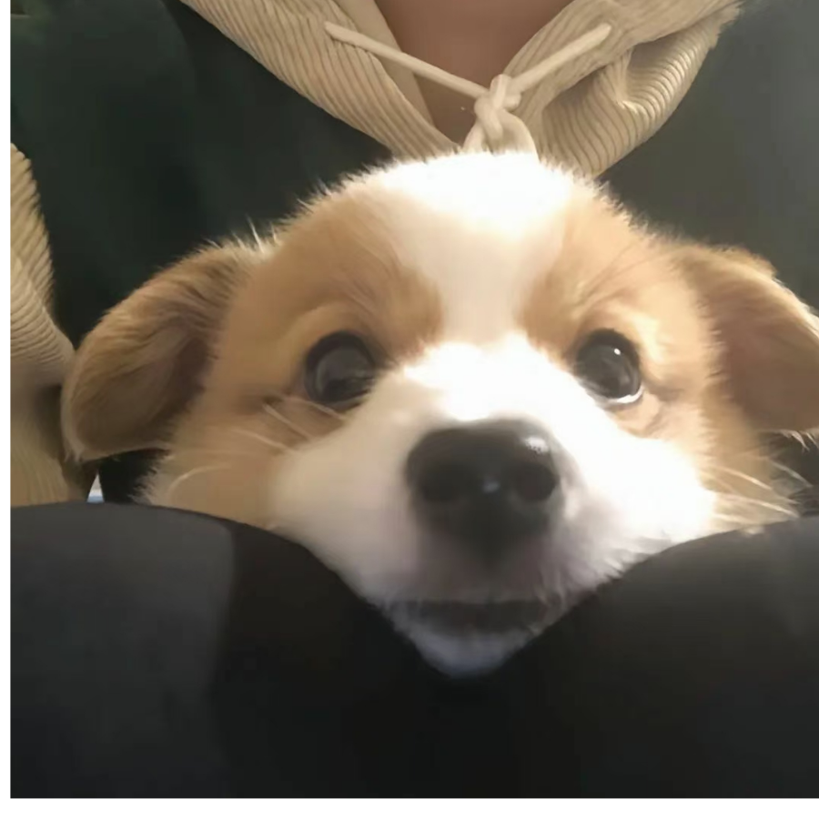ybb