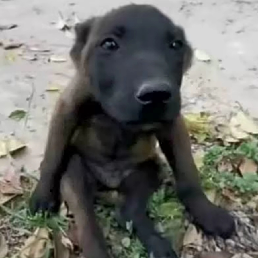 .