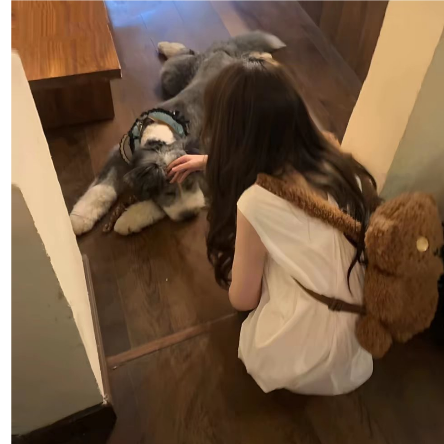 洛洛
