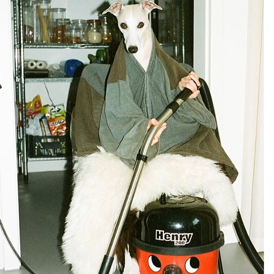 尘松