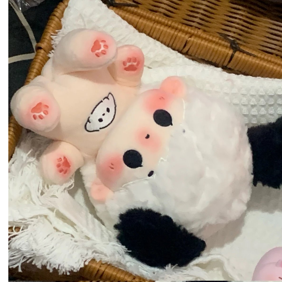 阿洋不熬夜