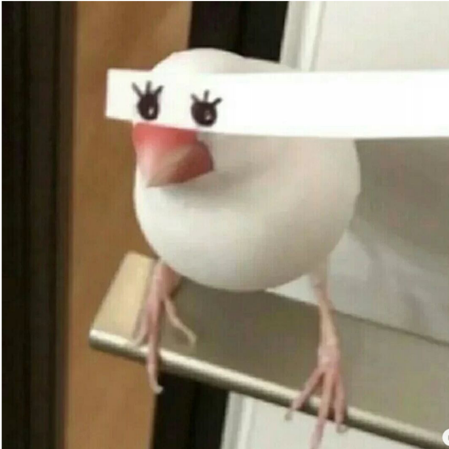 燊樺旒