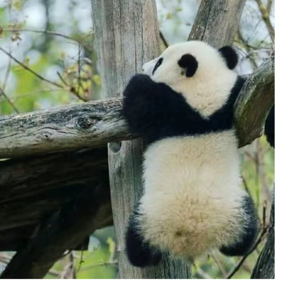 可恶的伪善者