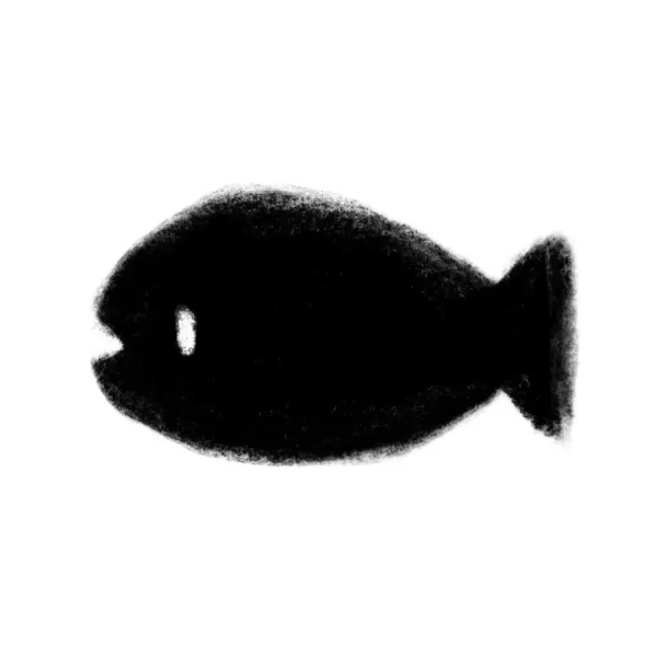 星阳