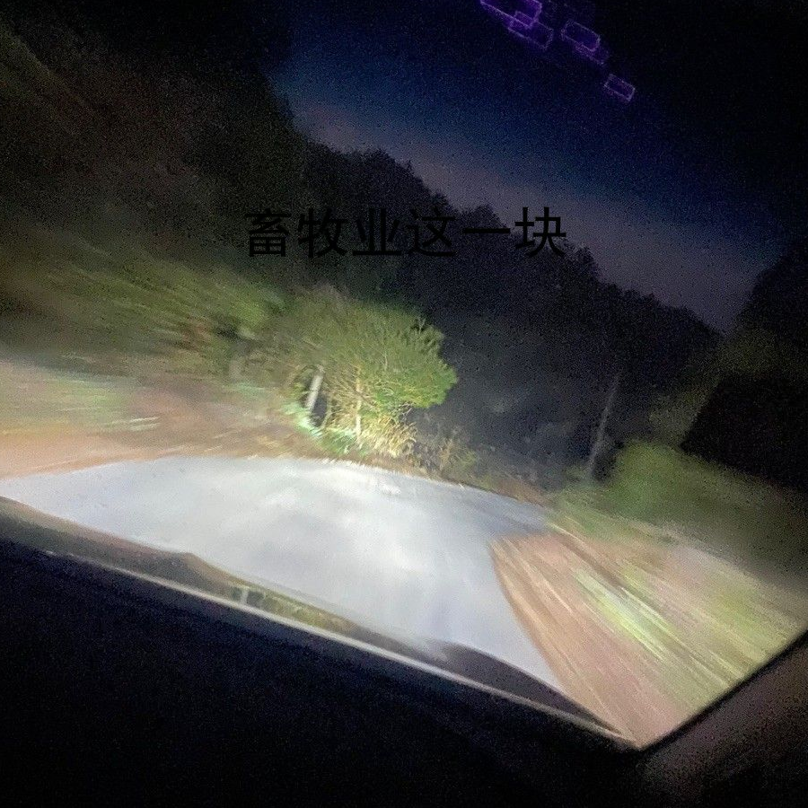 令狐冲