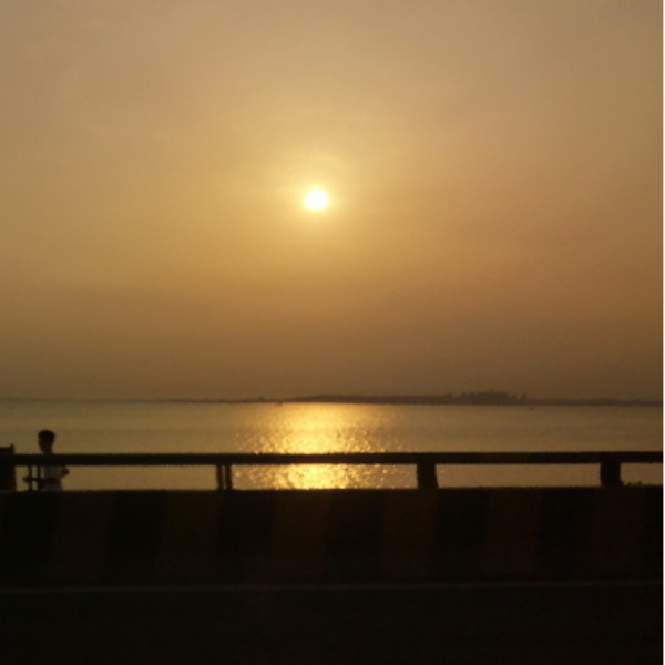 八方来客