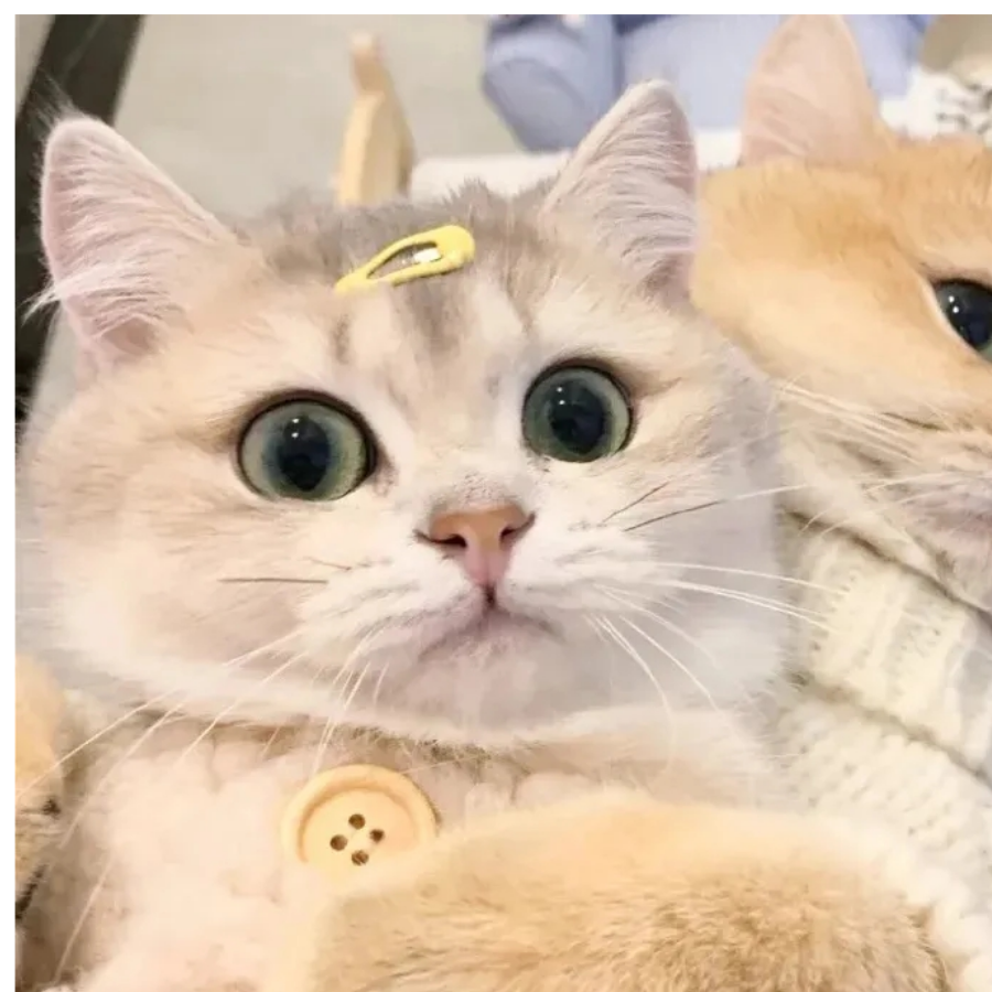承欢