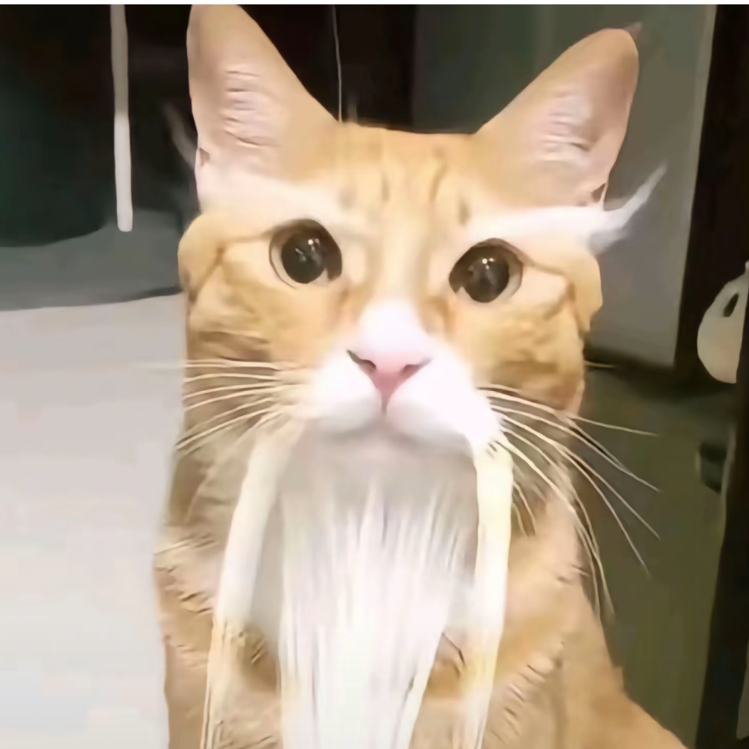 哈基仙