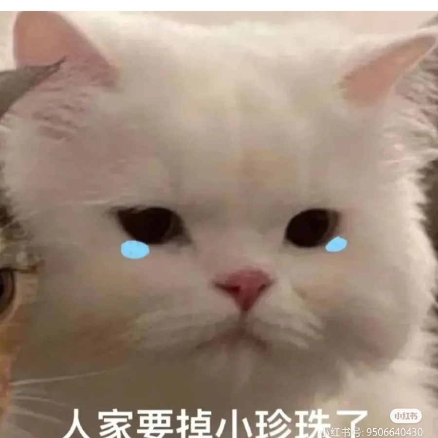 我真无语