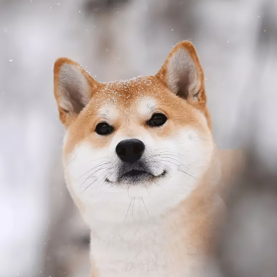 让你一只左耳