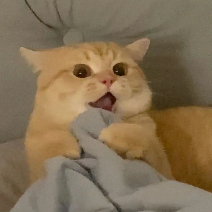 阿离