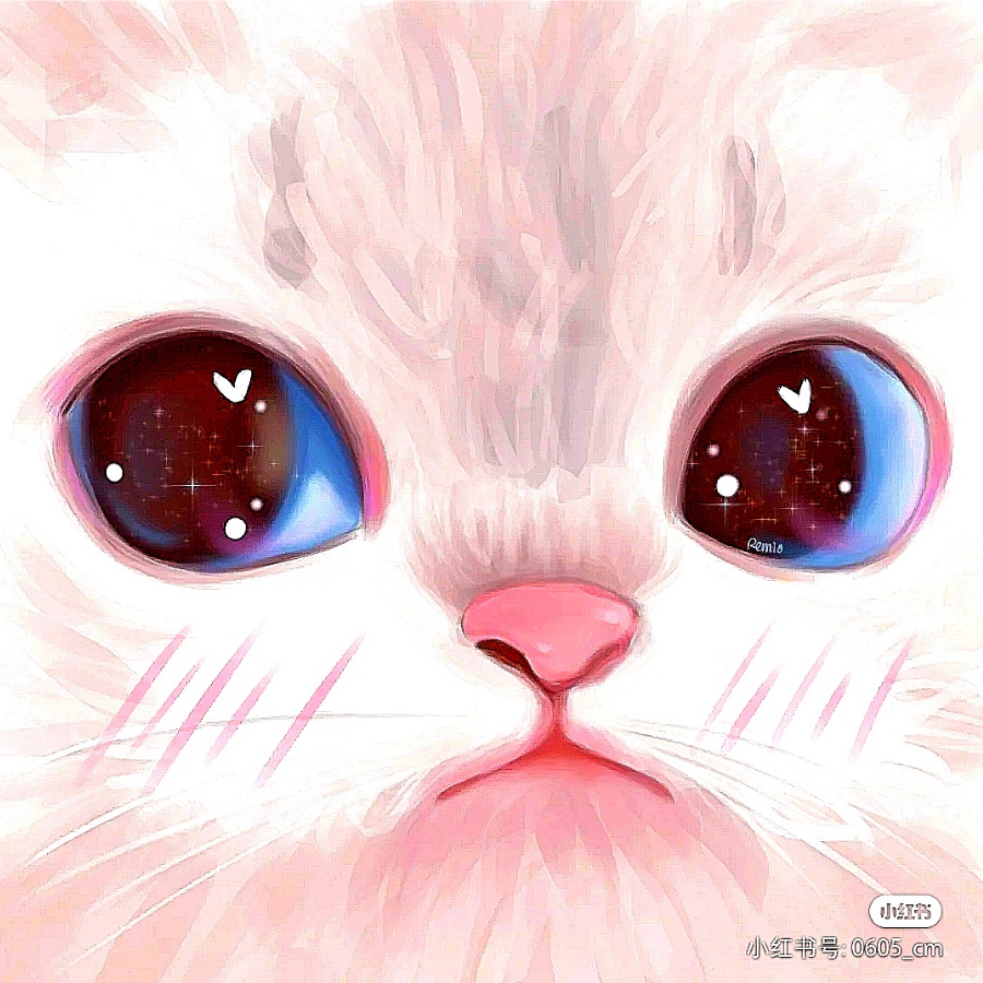 狸花