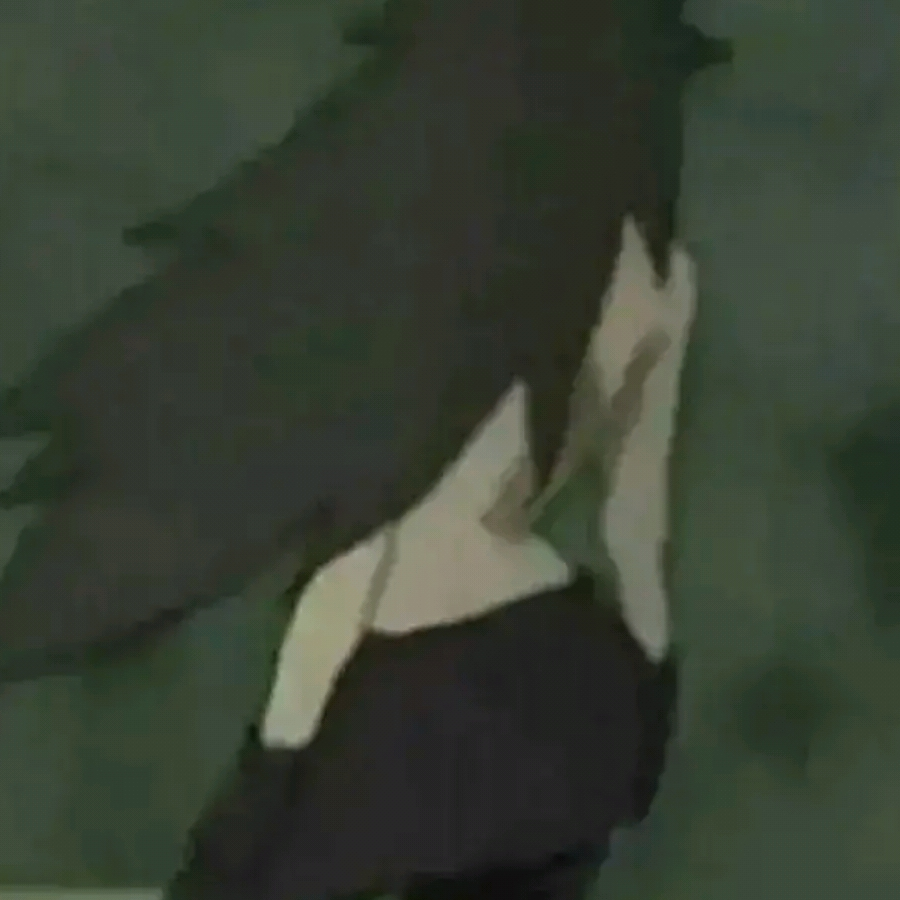 Σ(°ロ°)