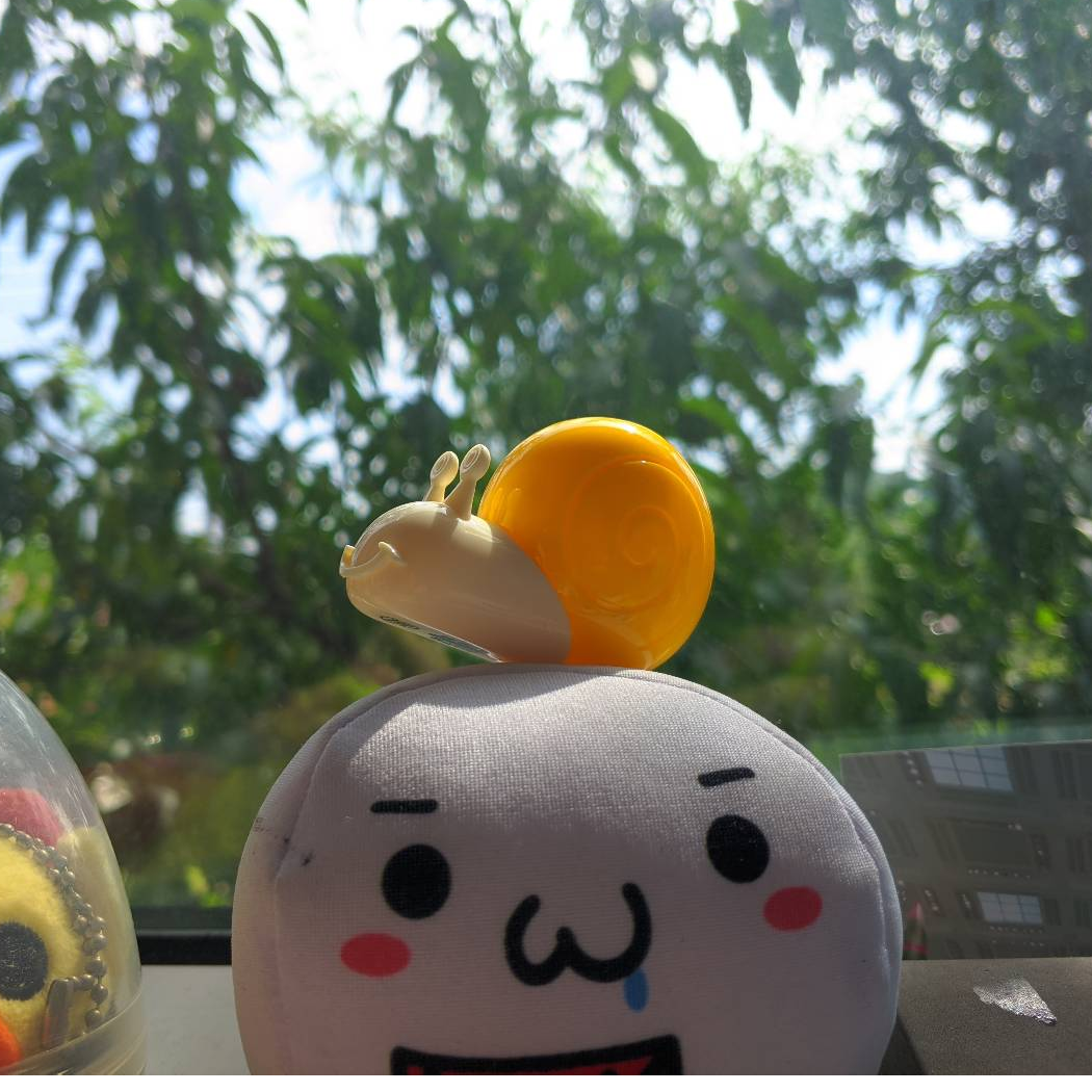 折玉