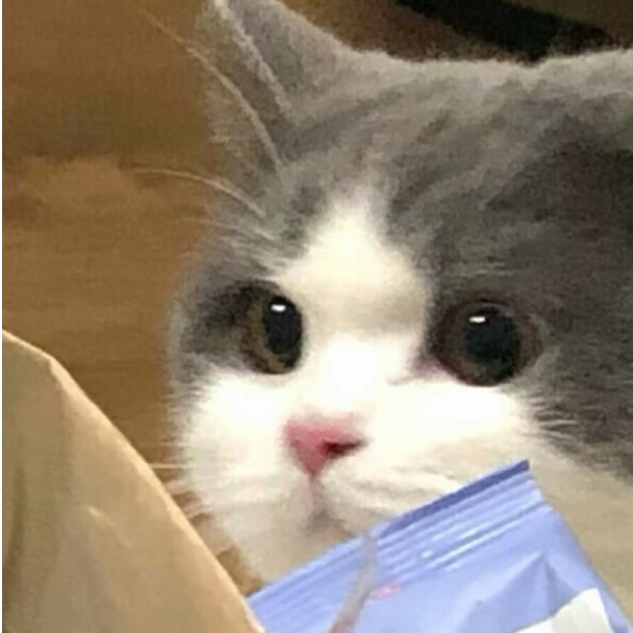 潇沫