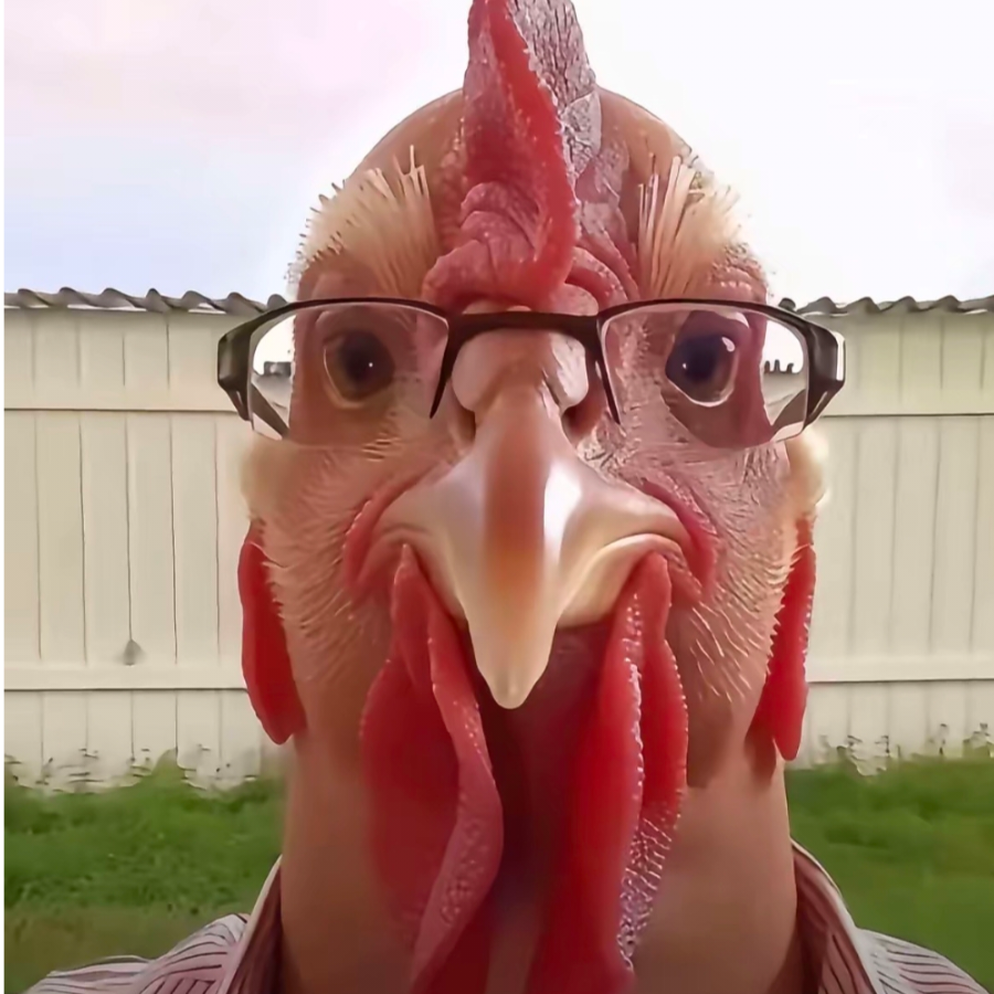 莓艺诗
