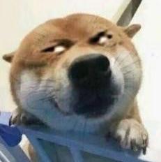 路过的假面骑士