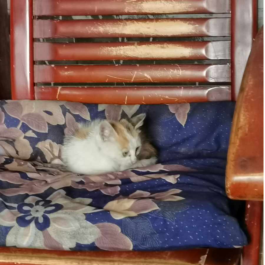 饮者留名